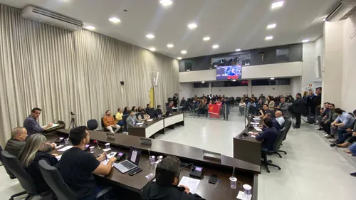 O projeto 29, de autoria do vereador Adan Lenharo (DC), teve nove votos a favor e dois contra